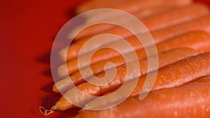 Carrots in a row on red background