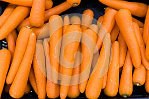 carrots for sale photo