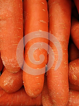 Carrots for sales