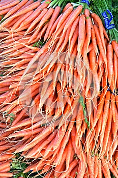 Carrots at San Francisco Farmers Market photo