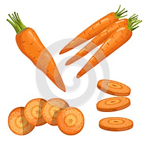 Carrots set. Single whole, group and slices of carrot. Cartoon flat simple style. Fresh market vegetables. Vector illustrations