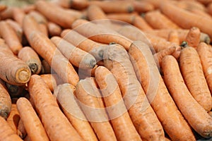Carrots in a supermerket