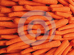 Carrots texture