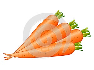 Una carota vettore illustrazioni 