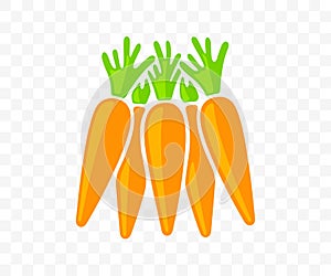 Carrots, vegetable, agriculture, food and meal, graphic design