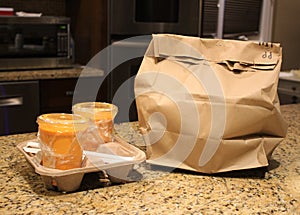 Carry Out or Take Away Food on a Kitchen Counter