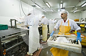 Carrying box of fish