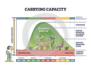 Carrying capacity as reproduction level with seasonal surplus outline diagram