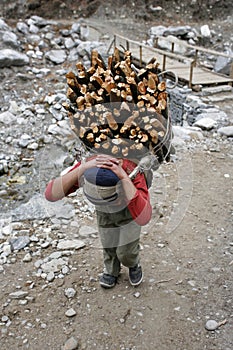 Carrying firewood