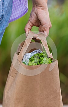 Carrying a healthy bag. Cropped image of a woman holding paper shopping bag full of fresh vegetables