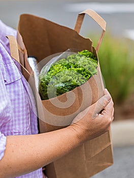 Carrying a healthy bag. Cropped image of a woman holding paper shopping bag full of fresh vegetables