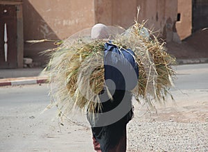 Contabilità grano 