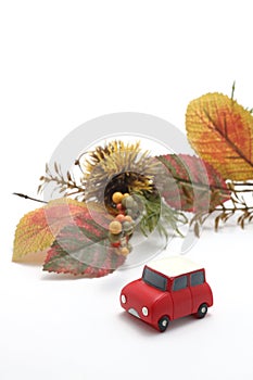 Cars, autumn leaves, and chestnut on white background.