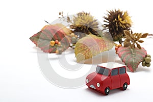 Cars, autumn leaves, and chestnut on white background.