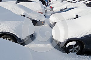 Cars covered in snow