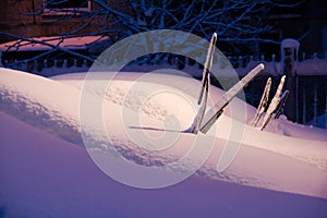 Cars covered with snow