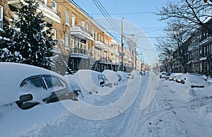 Cars covered by snow on the street