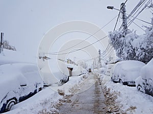 Cars covered in snow at winter