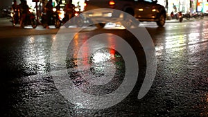 Cars drive and the dog runs unhinged on a wet road