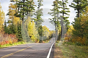 Cars on the Gunflint Trail among tall pines and autumn color