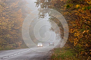 A cars with headlights on a foggy autumn road