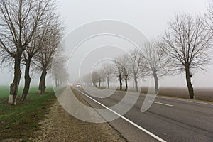 Cars with headlights go vanishing in a thick fog the road. Late autumn