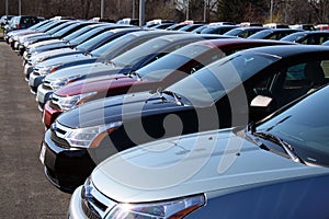 Cars in new car lot photo