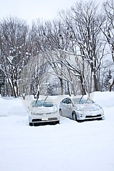 Cars park with snow mountain