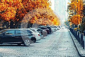 Cars parked on street in autumn city