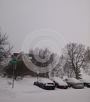 Cars parked in a street covered in snow. House and bare trees. Winter weather.