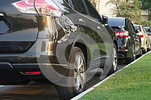 Cars parking in a tidy row in open area