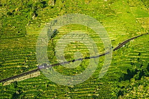 Cars passing through a road surrounded farmland