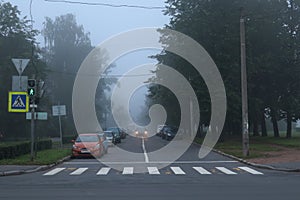 Cars on the road during the fog