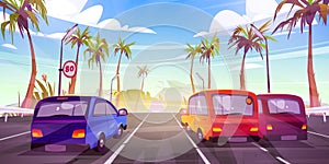 Cars on road, tropical palms cartoon illustration