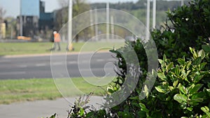 Cars roundabout worker