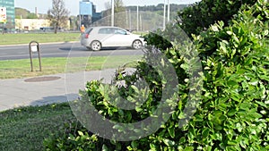 Cars roundabout worker