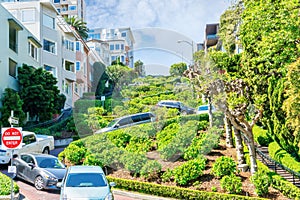 Cars Traveling Down Crooked Lombard Street in San Francisco