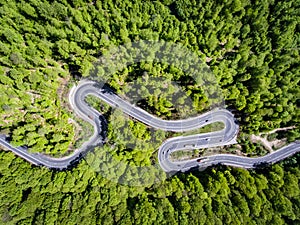 Cars and trucks on winding road trough the forest, Transilvania, Romania