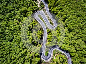 Cars and trucks on winding road trough the forest, Transilvania, Romania