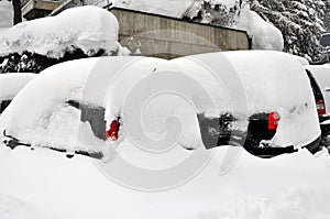Cars under the snow