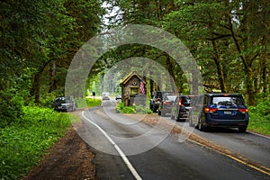 Cars wait to pay admission fees at the entrance of Olympic National Park