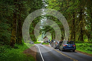 Cars wait to pay admission fees at the entrance of Olympic National Park