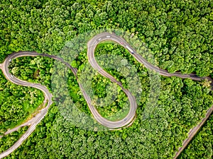 Cars on winding road trough the forest aerial view