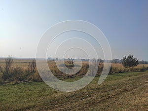 Carska bara Zrenjanin wildlife nature reserve lake