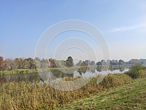 Carska bara Zrenjanin wildlife nature reserve lake with reed