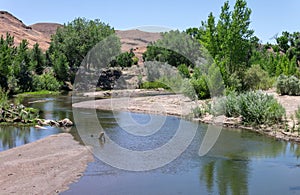 The Carson River