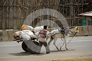 Cart in Ethiopia