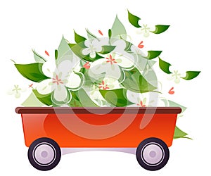 Cart flowers