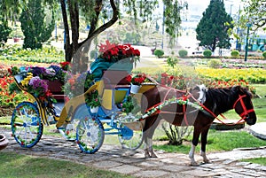 Cart with flowers