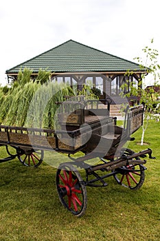 A cart full of reeds exposed on an agriculture fair